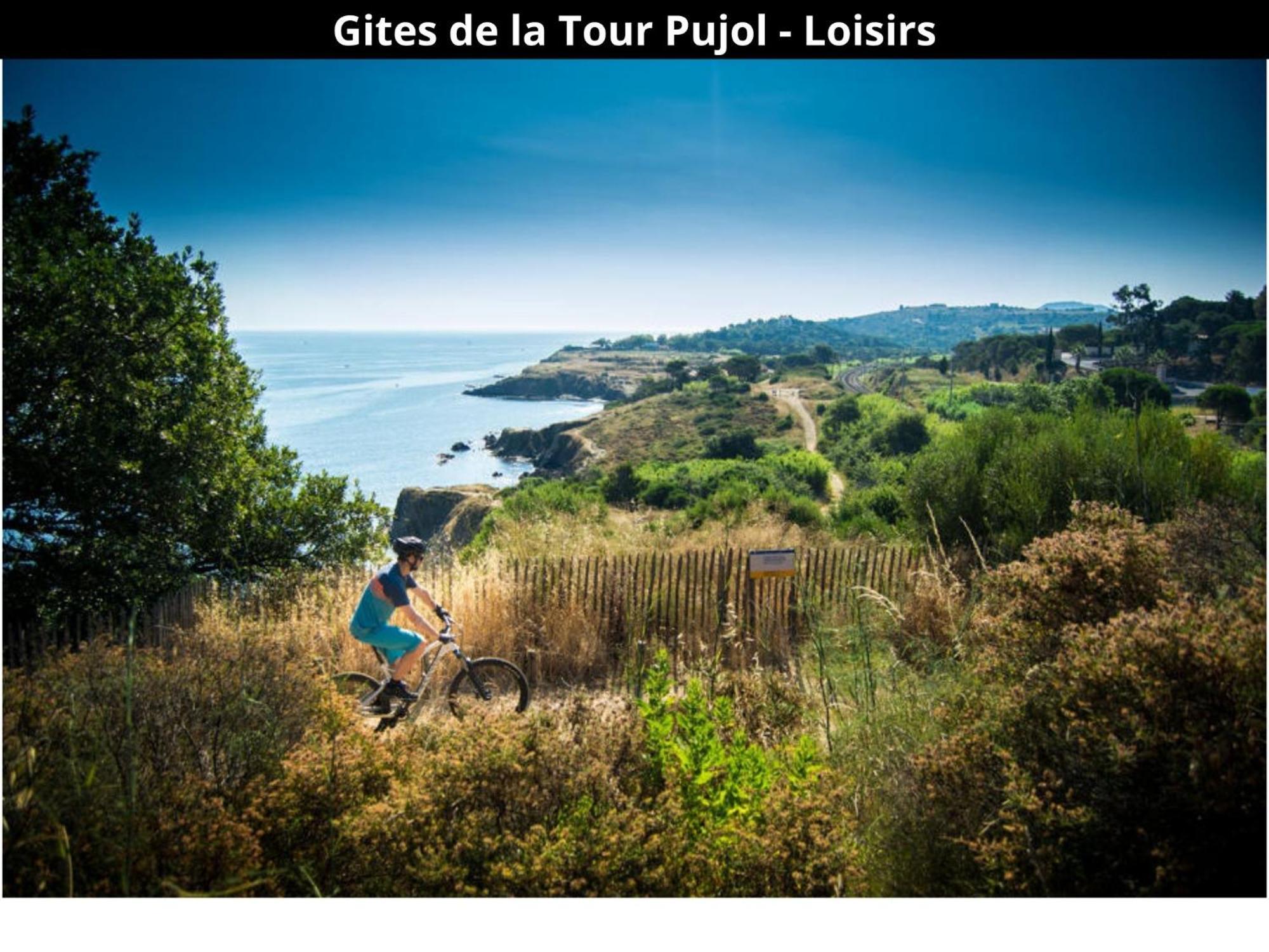 Les Gites De La Tour Pujol Argelès-sur-Mer Exterior foto